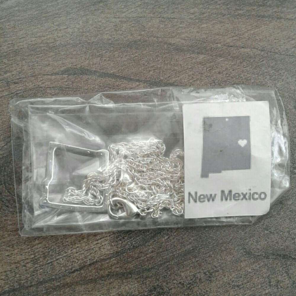 Brand new new Mexico shape state necklace silver